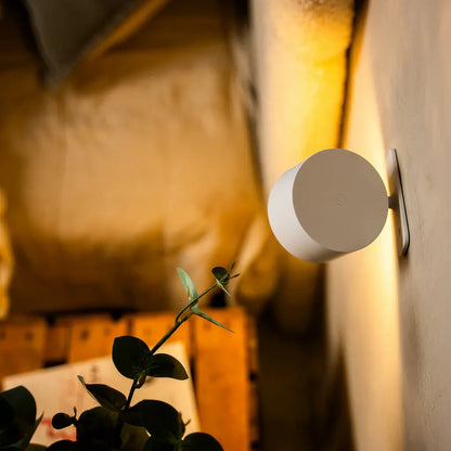 Wall Lamp